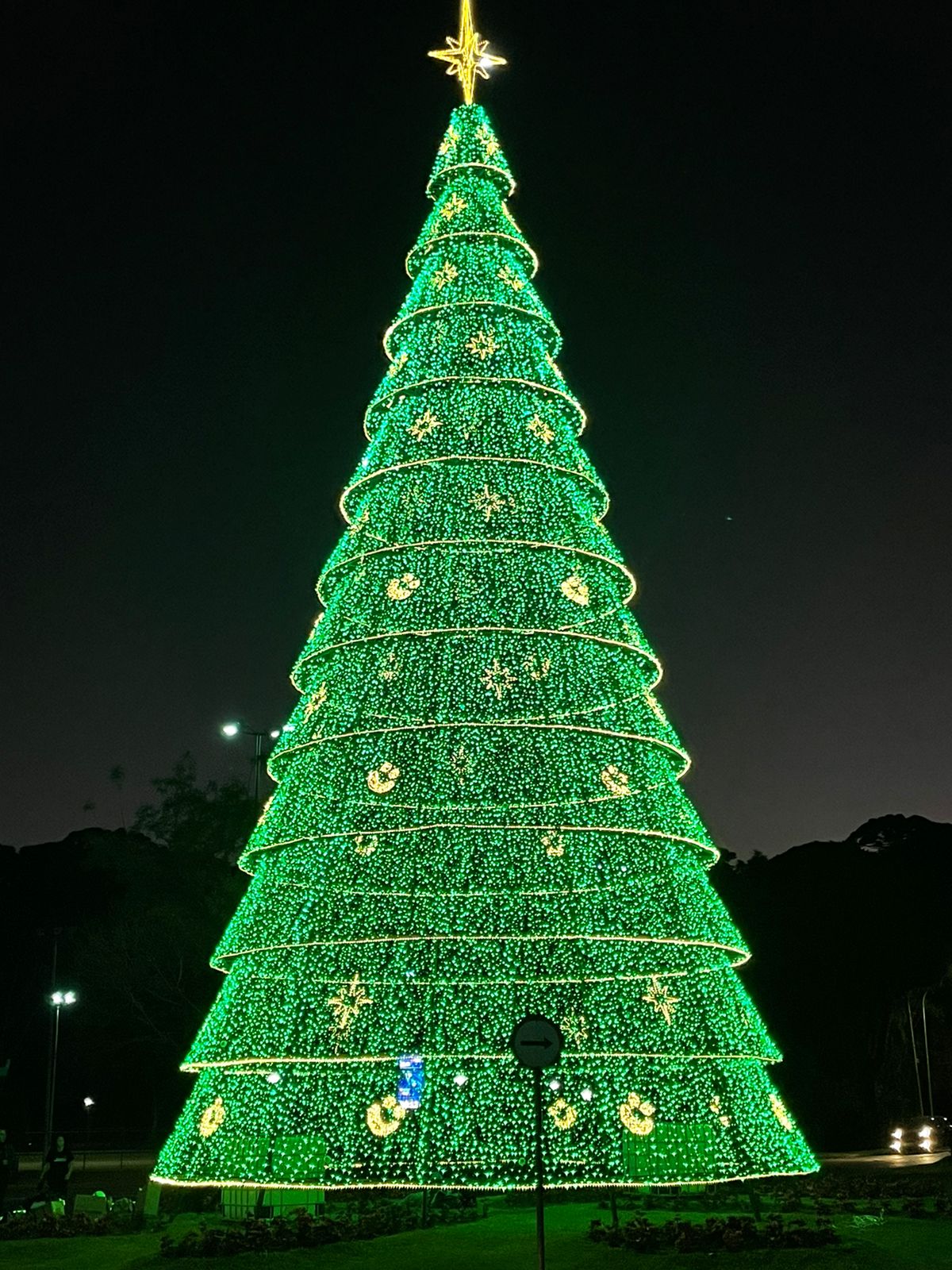 Caminhos de Luz: agendamento para atrações do Natal de Curitiba começa  nesta quinta - Prefeitura de Curitiba